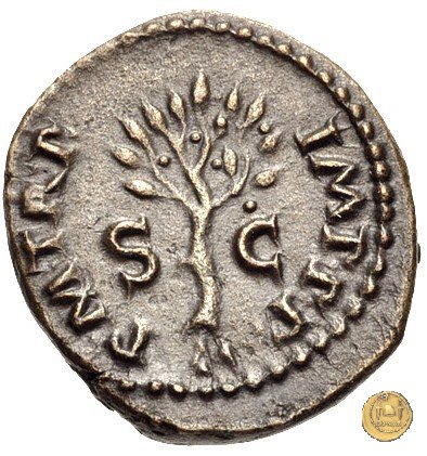 CLM587 64 AD (Roma)