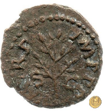 CLM587 64 AD (Roma)