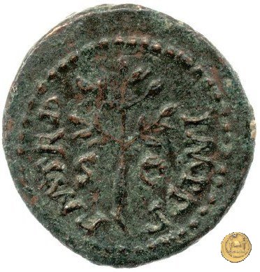 CLM587 64 AD (Roma)