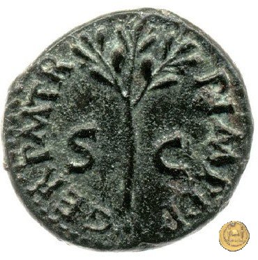 CLM590 64 AD (Roma)