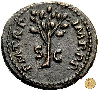 CLM592 64 AD (Roma)