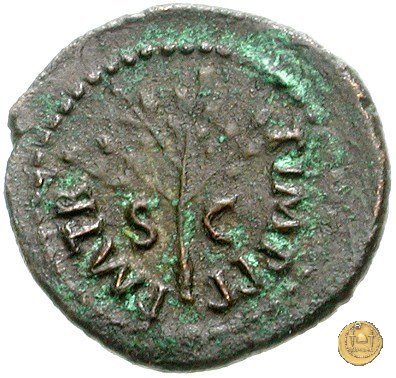 CLM595 64 AD (Roma)