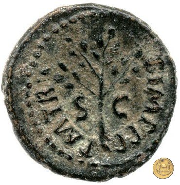 CLM595 64 AD (Roma)