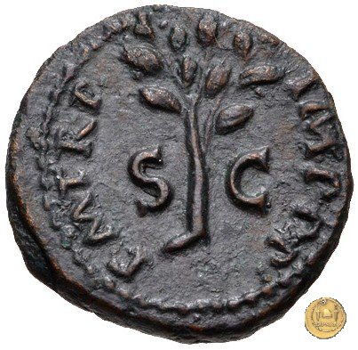 CLM599 65 AD (Roma)