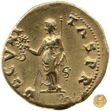 CLM5 69 AD (Roma)