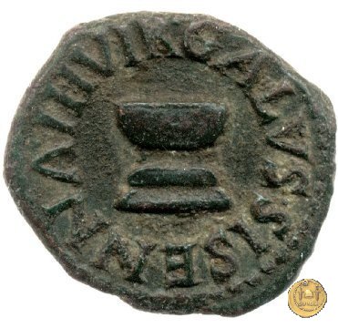 CLM600 5 BC (Roma)