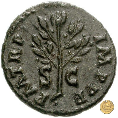 CLM600 65 d.C. (Roma)