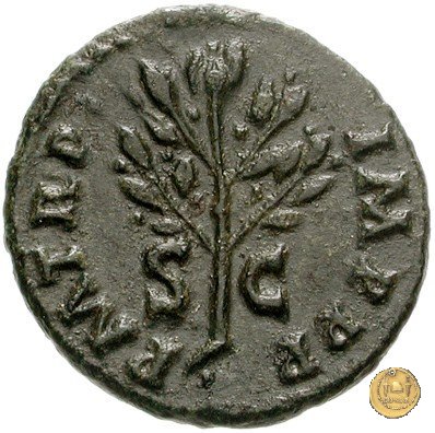 CLM600 65 AD (Roma)