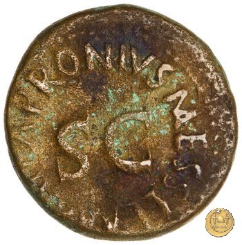 CLM615 5 a.C. (Roma)