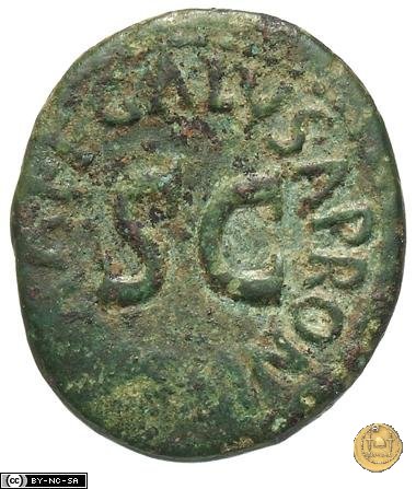 CLM619 5 BC (Roma)