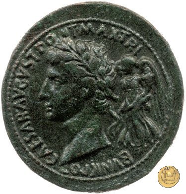 CLM649 7 BC (Roma)