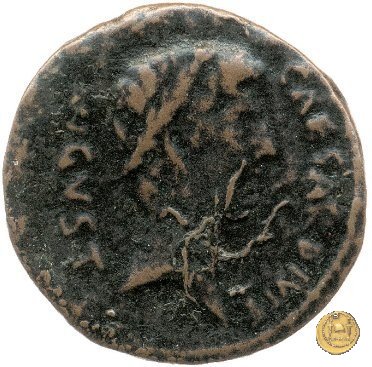 CLM653 15 BC (Roma)