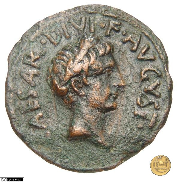 CLM654 15 BC (Roma)