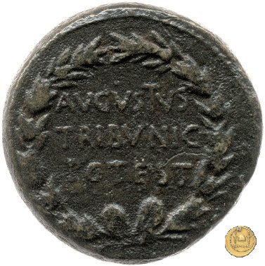CLM658 15 BC (Roma)