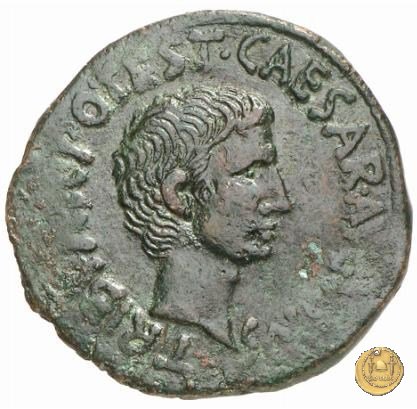 CLM659 15 BC (Roma)