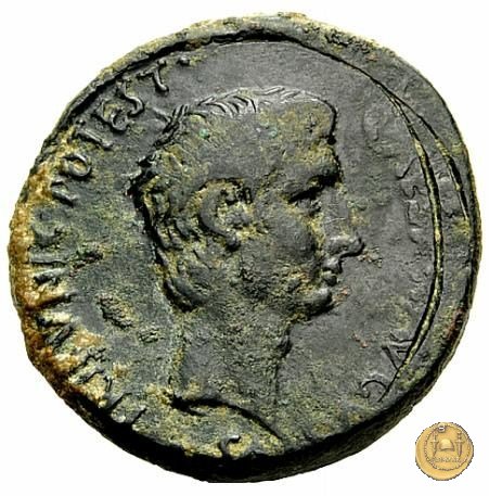 CLM662 15 BC (Roma)