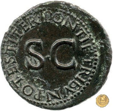 CLM72 21-22 AD (Roma)