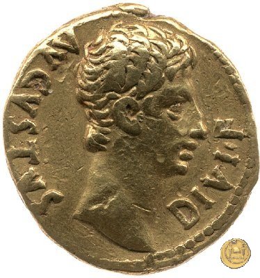 CLM75 11-10 BC (Lugdunum)