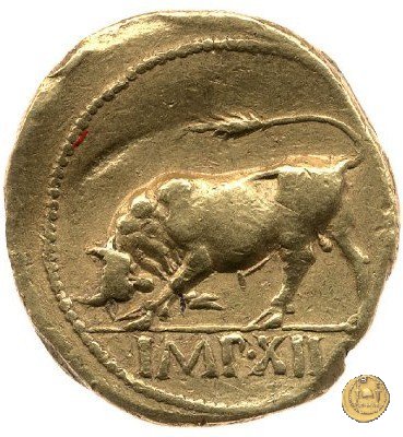 CLM75 11-10 BC (Lugdunum)