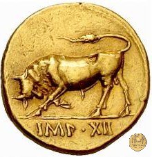 CLM75 11-10 BC (Lugdunum)