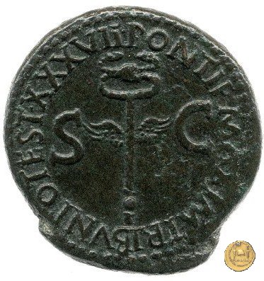 CLM76 35-36 AD (Roma)