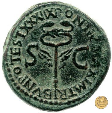 CLM78 36-37 AD (Roma)