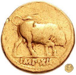 CLM79 11-10 BC (Lugdunum)