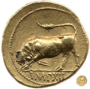 CLM80 11-10 BC (Lugdunum)