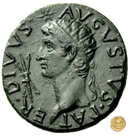 CLM81 15-16 AD (Roma)