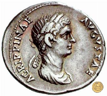 CLM84 50-54 AD (Roma)
