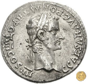 CLM33 41 AD (Roma)