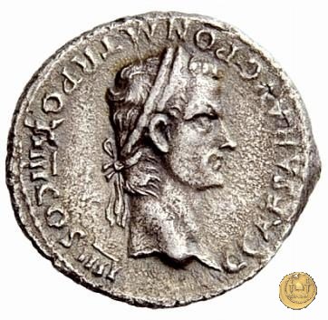 CLM31 41 AD (Roma)