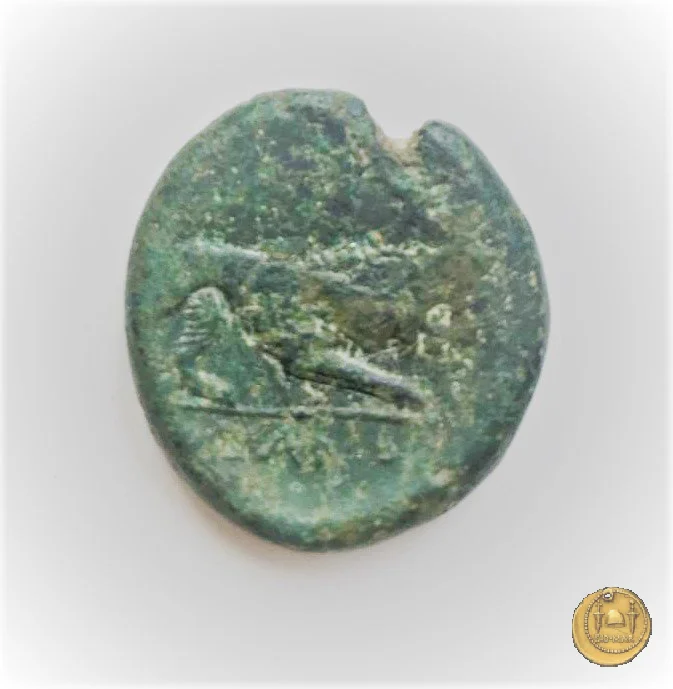 16/1 275-270&nbsp;BC (Italia Sud)