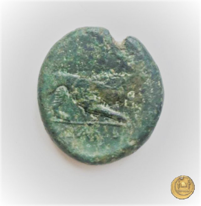 16/1 275-270 BC (Italia Sud)