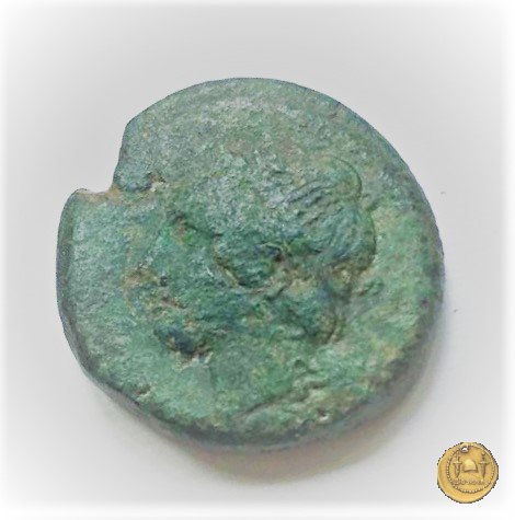 16/1 275-270 BC (Italia Sud)