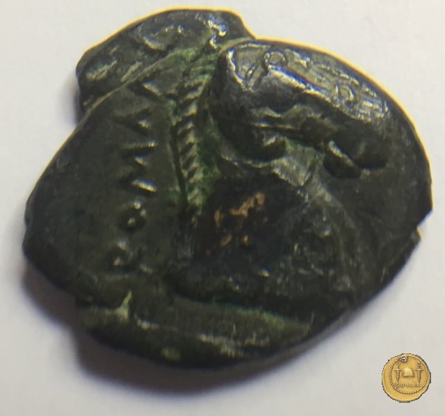 17/1 260 BC (Roma)