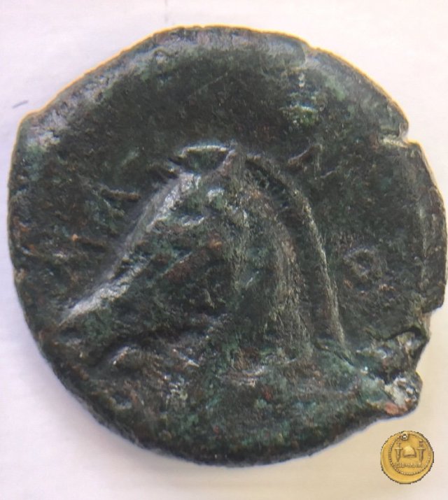 17/1 260 BC (Roma)