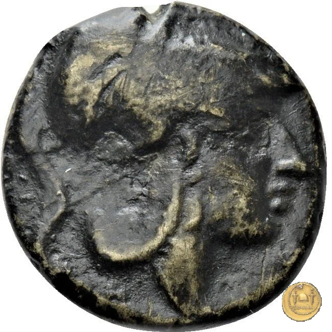 17/1 260&nbsp;BC (Roma)