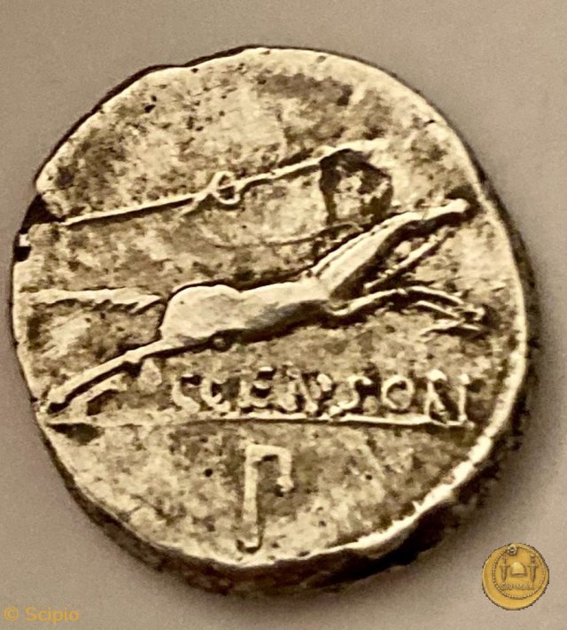 346/2 - denario C. Marcius Censorinus 88 BC (Roma)