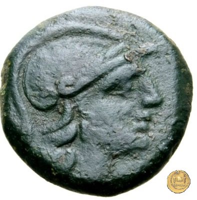 240/6 - oncia C. Curiatius Trigeminus filius 135 BC (Roma)