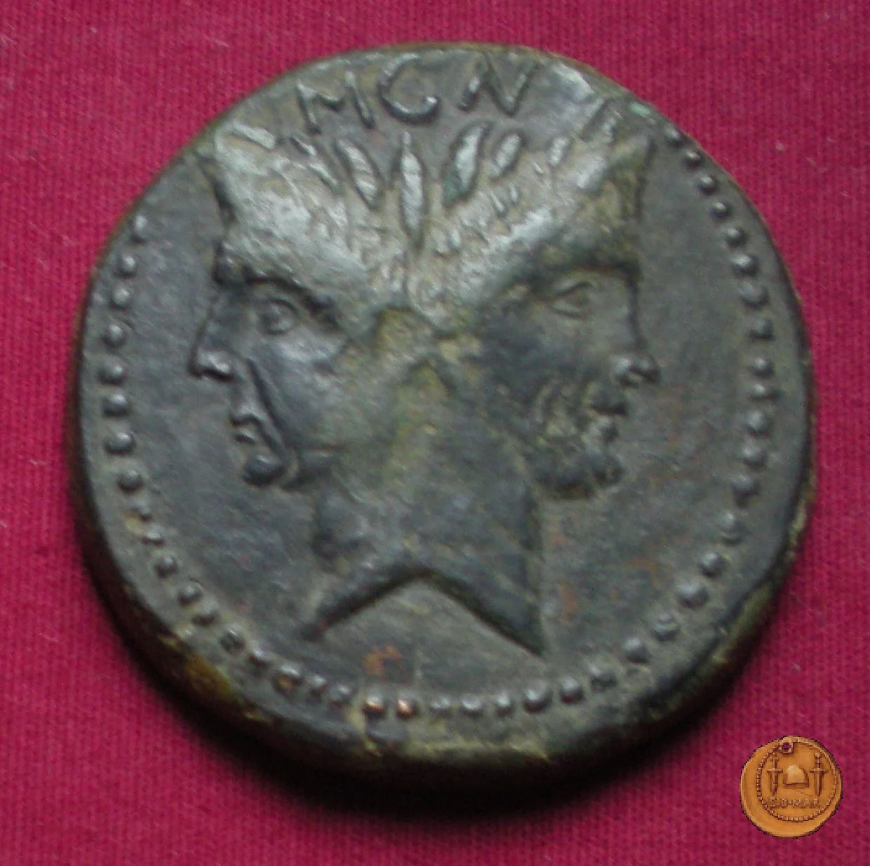 479/1 - asse Sex. Pompeius Magnus Pius 45&nbsp;BC (Sicilia)