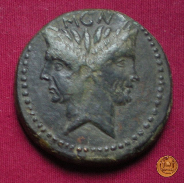 479/1 - asse Sex. Pompeius Magnus Pius 45 BC (Sicilia)