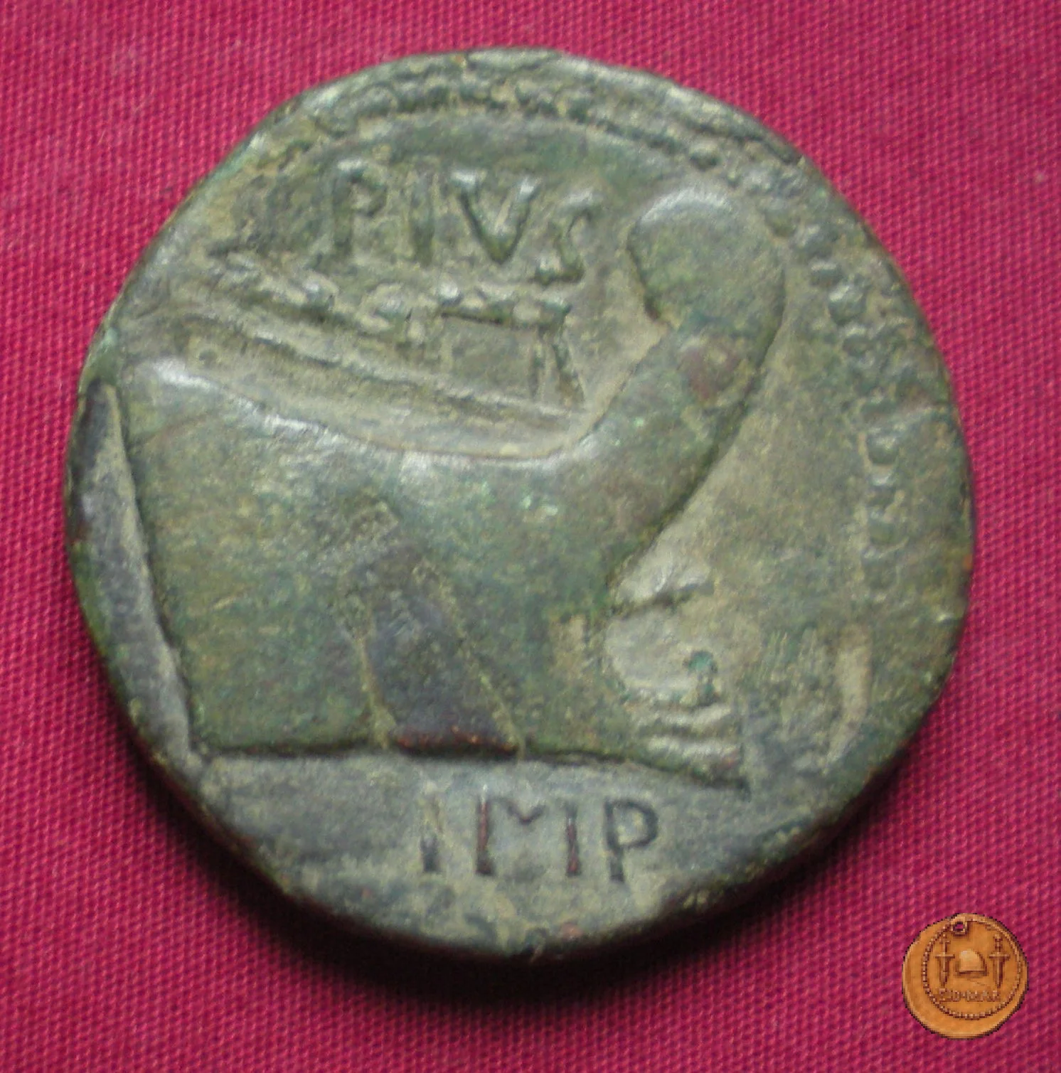 479/1 - asse Sex. Pompeius Magnus Pius 45&nbsp;BC (Sicilia)