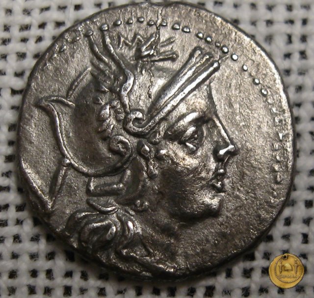 68/2 - spiga di grano (corn-ear) 211-208 BC (Sicilia)