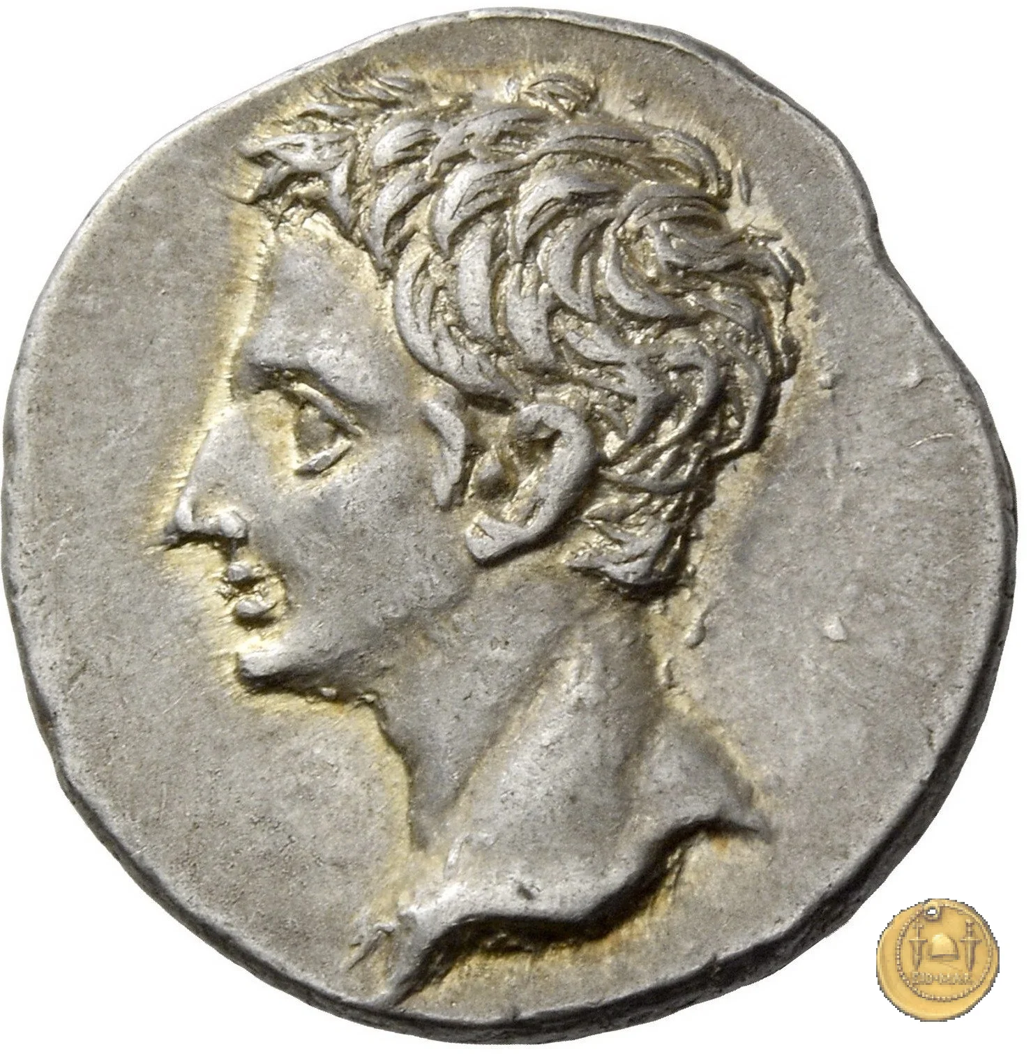 CLM266 18-16&nbsp;BC (Colonia Patricia?)