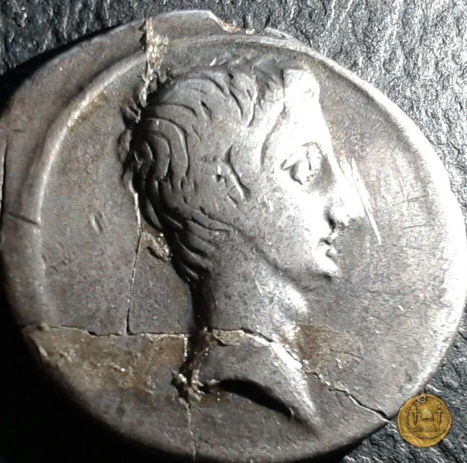 CLM341 29-27&nbsp;BC (Brundisium e Roma?)