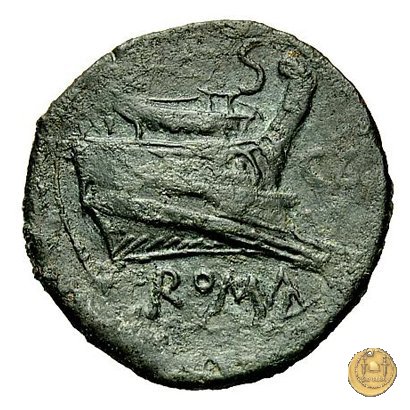 100/2 - semisse 209-208 BC (Canusium)