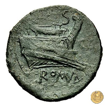 100/2 - semisse 209-208 BC (Canusium)