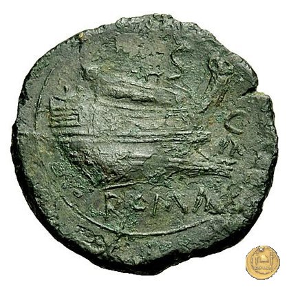 100/2 - semisse 209-208 BC (Canusium)