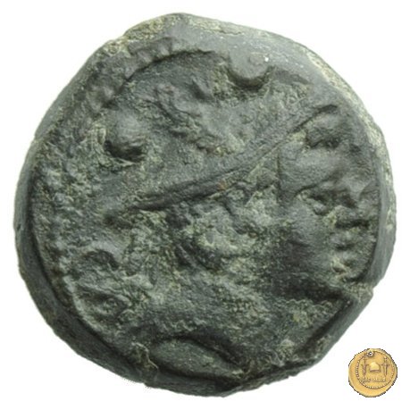 100/5 - sestante 209-208 BC (Canusium)